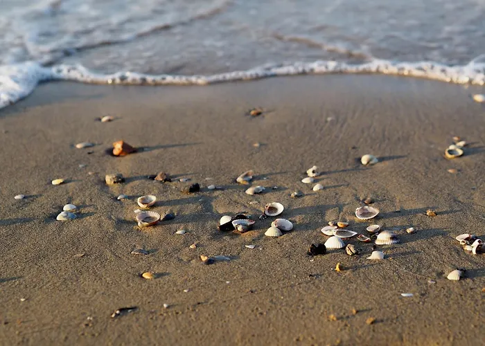 Appartement Bright White Flat In The Heart Of *